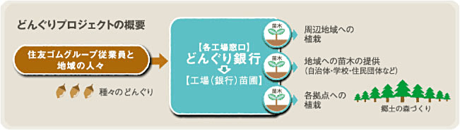 どんぐりプロジェクト