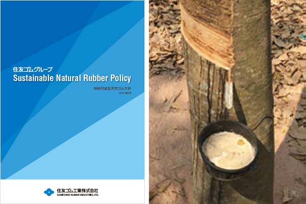 Sustainable Natural Rubber Policy