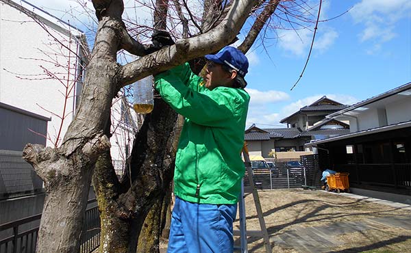 近隣幼稚園等に蜂誘因器を設置（白河工場）